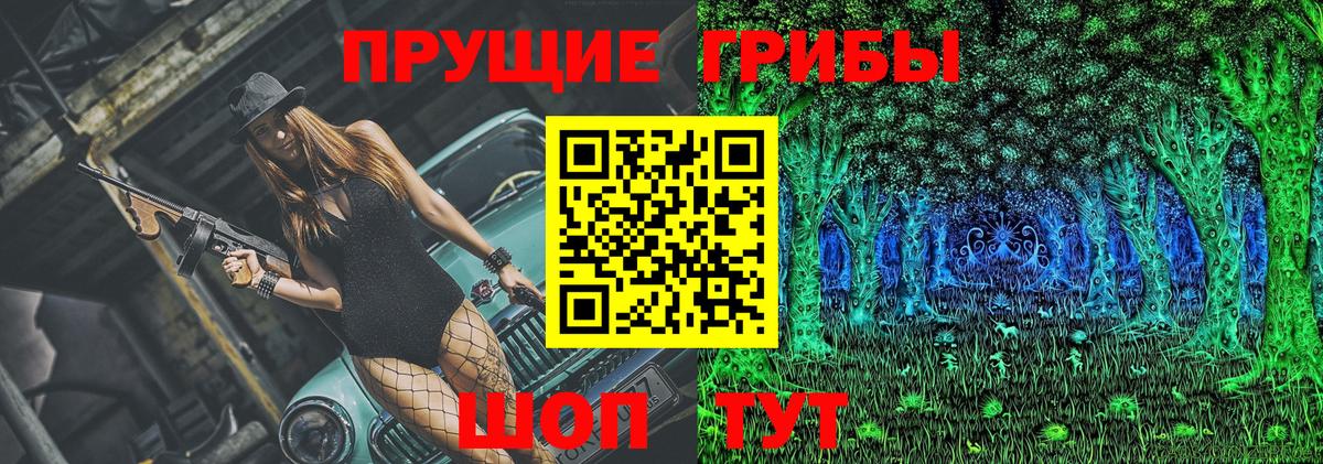 Псилоцибиновые грибы Psilocybe  Вход с VPN  Чусовой 