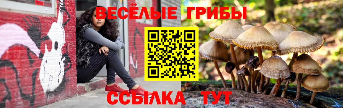 Галлюциногенные грибы Cubensis Чусовой